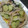 里ちんママ's cooksnap of when they made 簡単☆しめ鯖と新玉ねぎの胡麻酢和え.
