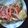 パリスジャッキィ's cooksnap of when they made お好み焼き.