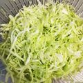 ムーミン☆ママ's cooksnap of when they made 【お母様絶賛！】ただのキャベツの千切り.