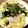 サマソニちゃん's cooksnap of when they made これがオリジナル。パクチーのアジアン冷奴.