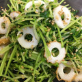 感謝♡'s cooksnap of when they made 白だしで簡単☆豆苗ごま和え♪お弁当にも◎.