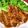 みちゃん☺︎'s cooksnap of when they made 照り焼きチキンステーキ.