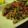 ラテちん's cooksnap of when they made 豚肉とアスパラのオイスター炒め.