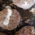 yokyomami's cooksnap of when they made 中からトロッと簡単！チーズinハンバーグ.