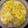 クックC2GECR☆'s cooksnap of when they made もってのほか（食用菊）のみぞれ和え.