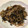 papikun's cooksnap of when they made 白滝とひじきの甘辛煮.