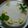 なんしーどるー's cooksnap of when they made 簡単濃厚！基本のレアチーズケーキ♡.