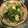 キャビィーママ's cooksnap of when they made 簡単！ほうれん草と竹輪のごま和え.