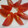 えこどん's cooksnap of when they made トマトのやさしいお酢がけ♪.