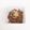 BanVan5はん☆'s cooksnap of when they made ツナと糸こんにゃくのピリッと生姜きんぴら.
