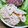 ♪syu☆syu♪'s cooksnap of when they made カンタン☆れんこんのめんたいマヨ和え.