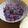プーパッポンカリー's cooksnap of when they made 紫にんじんの炊き込みご飯.