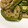クックXCI6PE☆'s cooksnap of when they made れんこんとししとうのきんぴら.