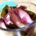 yappyパクパク's cooksnap of when they made 色鮮やか♡簡単ミョウガの甘酢漬け.