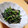 ぽぷらまる☆'s cooksnap of when they made ほうれん草の和風サラダ.