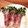 つきっぴー's cooksnap of when they made かいわれ大根の生ハム巻き♪.