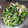 ラヒラヒ's cooksnap of when they made 簡単！オクラと水菜とちくわの胡麻和え.
