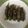 クックUAZ9M8☆'s cooksnap of when they made オクラの牛肉巻き.