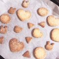 もももも0611's cooksnap of when they made ほろ苦ココア＆さくほろプレーンクッキー.