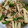 ｍｒｓ．Ｑｕｅｅｎ's cooksnap of when they made 山芋と豚肉のオイスター炒め.