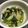 clover♡3's cooksnap of when they made セロリの塩昆布炒め.