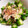 ☆まりもキッチン☆'s cooksnap of when they made オクラ お浸し 簡単！.