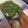 eriyu☆'s cooksnap of when they made 丸ごとピーマンとナスの煮浸し.