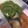 eriyu☆'s cooksnap of when they made 丸ごとピーマンとナスの煮浸し.