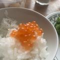 おマダム【んだこ】's cooksnap of when they made 簡単！ご飯もお酒も進むイクラの味噌漬け♪.