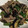 クック2H9MD0☆'s cooksnap of when they made 簡単！豚肉と夏野菜の中華風炒め物.