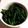 jyorinu's cooksnap of when they made ほうれんそうの胡麻和え。.