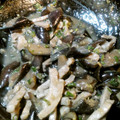 クックO4P6TW☆'s cooksnap of when they made なすと豚肉の味噌炒め.