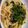 ＊tacchi＊'s cooksnap of when they made ネバネバ納豆カルボナーラ.