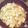 ⭐悠優ママ⭐'s cooksnap of when they made 白菜と豆腐の中華味炒め煮.