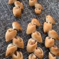 timtam55's cooksnap of when they made 一つの生地でベーコンエピとミルクフランス.