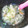 maaa4ron's cooksnap of when they made 離乳食後期〜＊鶏ササミのあんかけ炒め.
