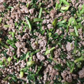HOKKEほっけ's cooksnap of when they made 大根の葉と豚ひき肉の炒めもの.