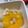 pochomom's cooksnap of when they made 白い野菜とパプリカのピクルス.