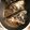 クック6PP321☆'s cooksnap of when they made 絶品★タラと梅のごまみりん漬け.
