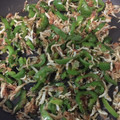 eriyu☆'s cooksnap of when they made 子供も大好きピーマンとしらすのおかか炒め.