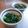 チコリママ's cooksnap of when they made 大根間引き菜のピリ辛炒め.