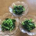 asamimimi's cooksnap of when they made 豆苗とわかめのナムル.