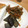 あっっっちょん's cooksnap of when they made 祝話題♡ 簡単我が家のきんぴらごぼう.