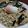 小麦粉【100g】's cooksnap of when they made ダイエットに☆豆腐そぼろ丼.