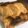 クック7UDRNN☆'s cooksnap of when they made ホットケーキミックスで簡単☆和梨のケーキ.