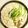 mammamiwa♪'s cooksnap of when they made ひらひら大根と鯖缶の塩麹豆乳鍋.