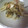 トクライ's cooksnap of when they made 大根の皮☆簡単あっさり漬け.