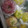 ゆけり３兄弟's cooksnap of when they made ☆林檎の保存法☆.