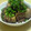 ☆chiemi♪★'s cooksnap of when they made 圧力鍋が無くても短時間でとろっ！豚の角煮.