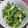 ひよこくま's cooksnap of when they made *胡瓜とオクラのナムル*.
